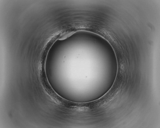 X0000113540539200909181159