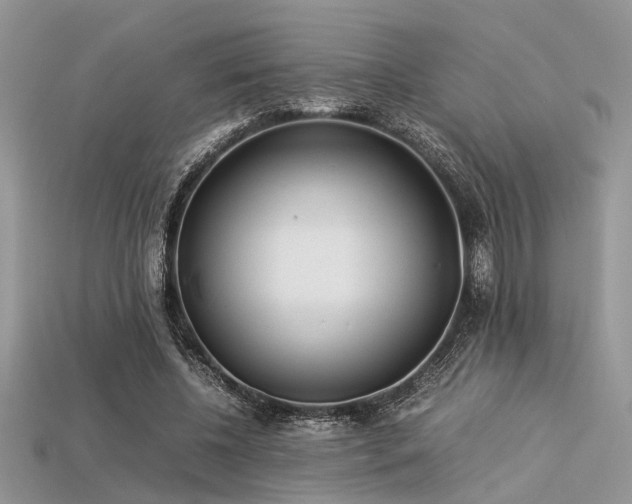 X0000113540540200909181159