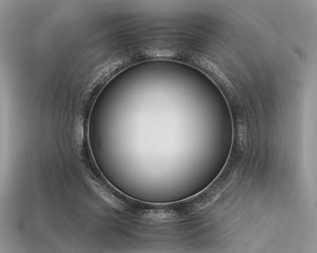 X0000113540541200909181200