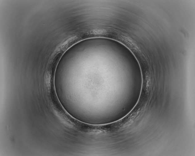X0000113540542200909181200