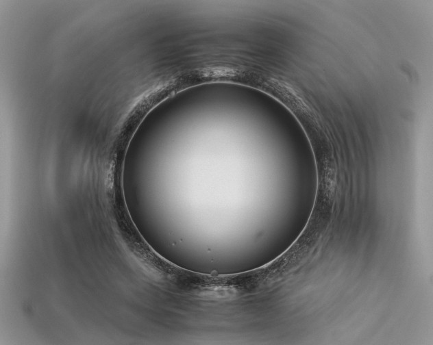 X0000113540543200909181200