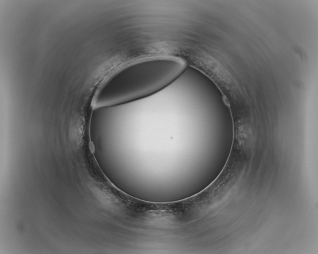 X0000113540544200909181200