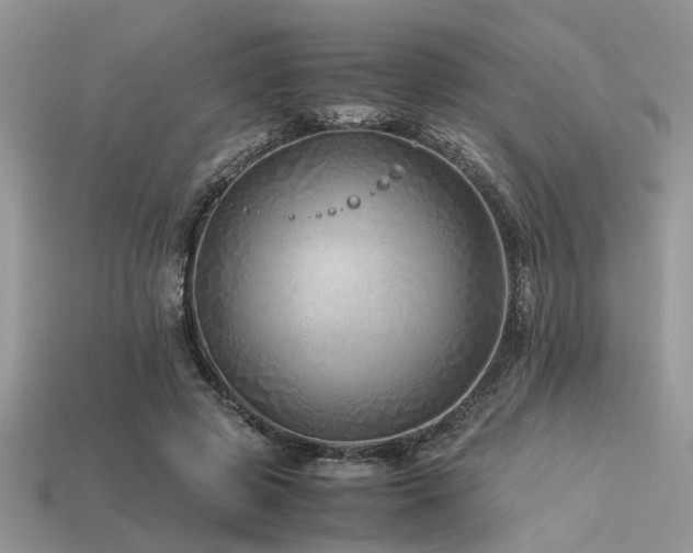 X0000113540545200909181200