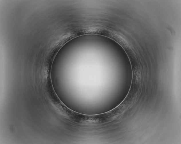 X0000113540546200909181200