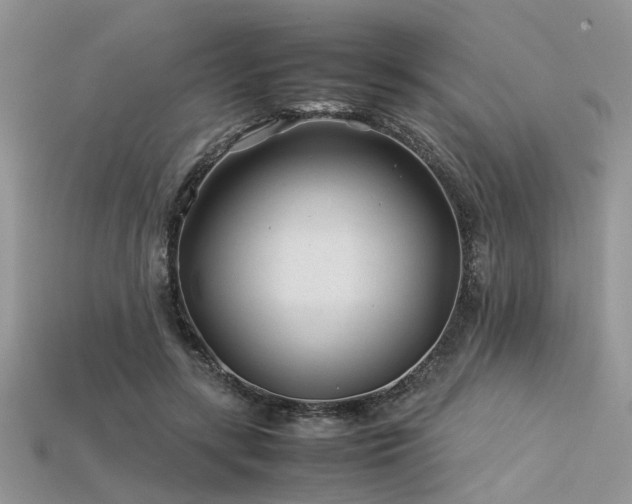 X0000113540547200909181200