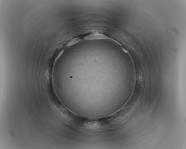 X0000113540551200909181200