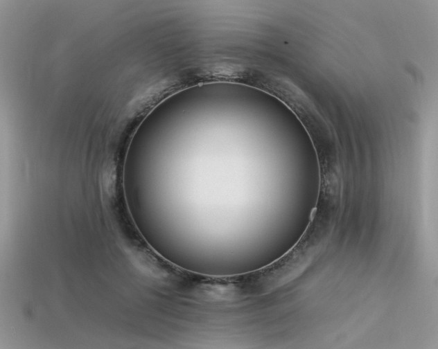 X0000113540552200909181200