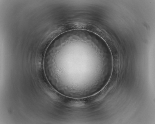 X0000113540553200909181200
