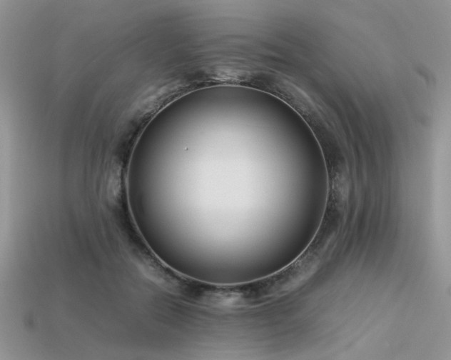 X0000113540554200909181200