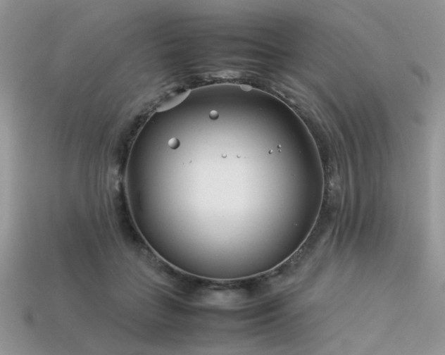 X0000113540555200909181200