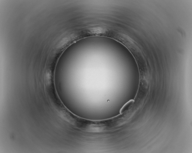 X0000113540556200909181200