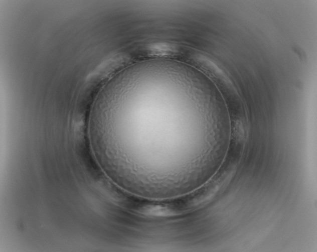 X0000113540557200909181200