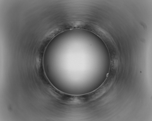 X0000113540558200909181200