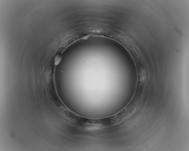 X0000113540559200909181200