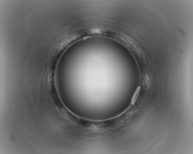 X0000113540560200909181200