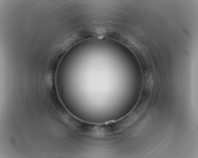 X0000113540562200909181200