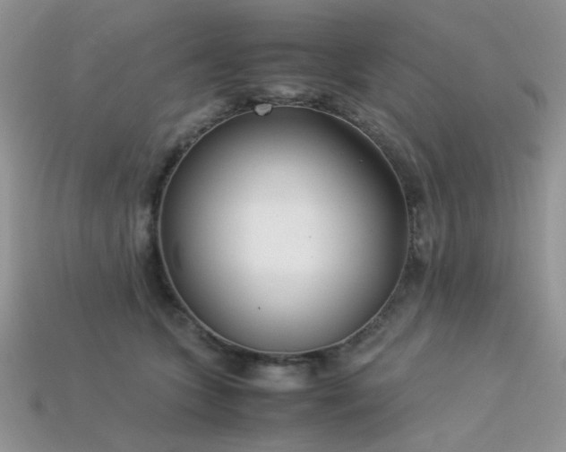 X0000113540563200909181200