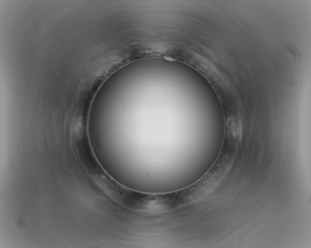 X0000113540564200909181200