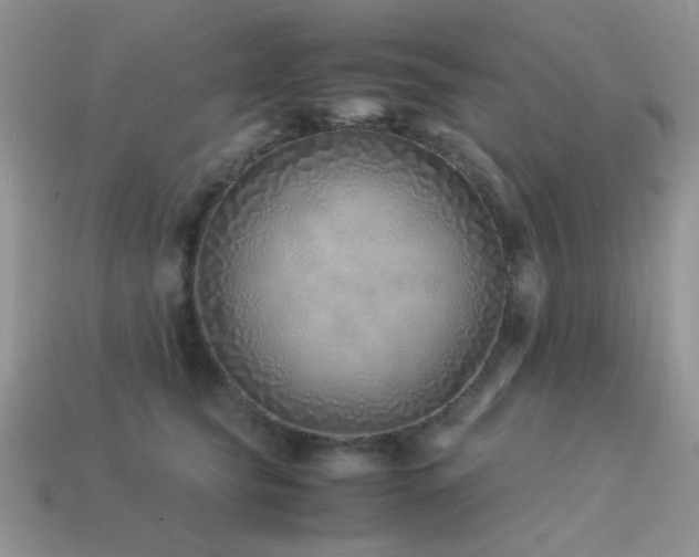 X0000113540565200909181200