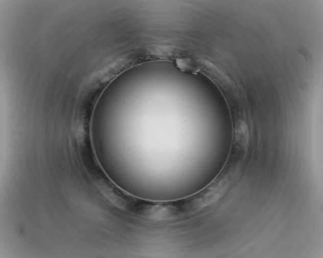 X0000113540566200909181200