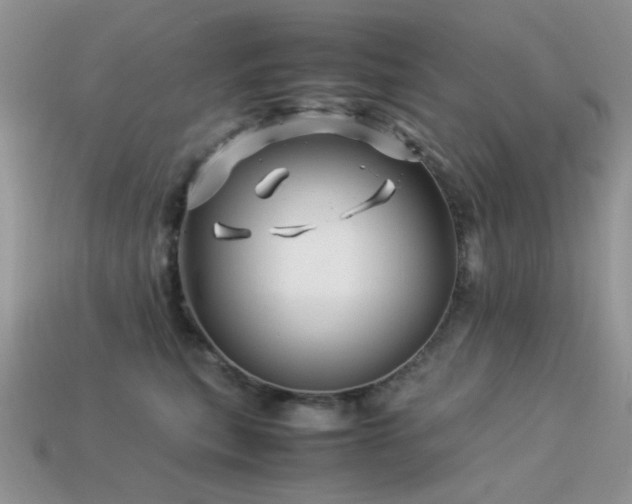 X0000113540567200909181200