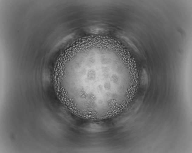 X0000113540569200909181200