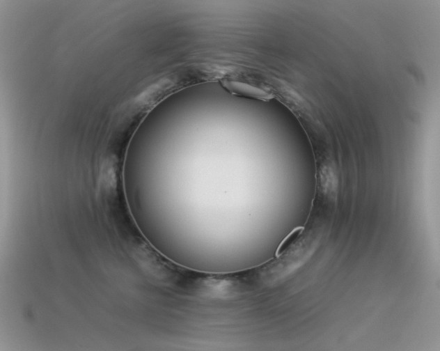 X0000113540570200909181200