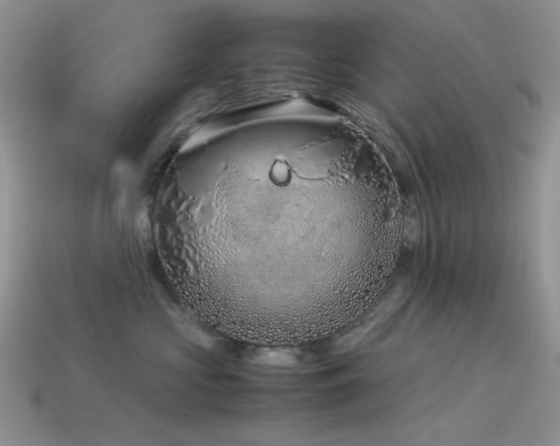 X0000113540573200909181200