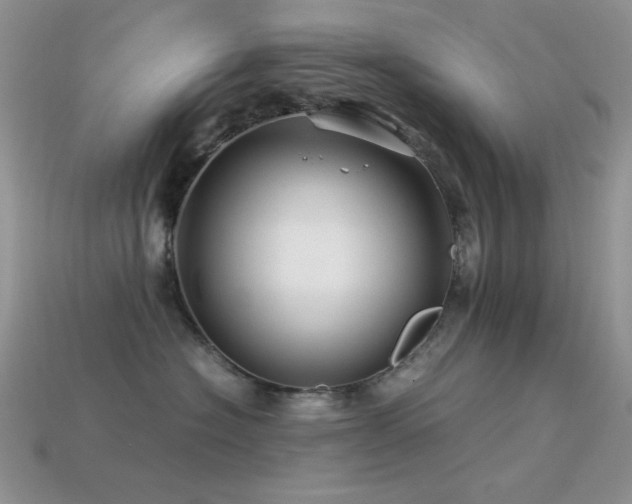 X0000113540574200909181200