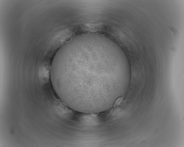 X0000113540576200909181200