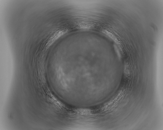 X0000113540577200909181159