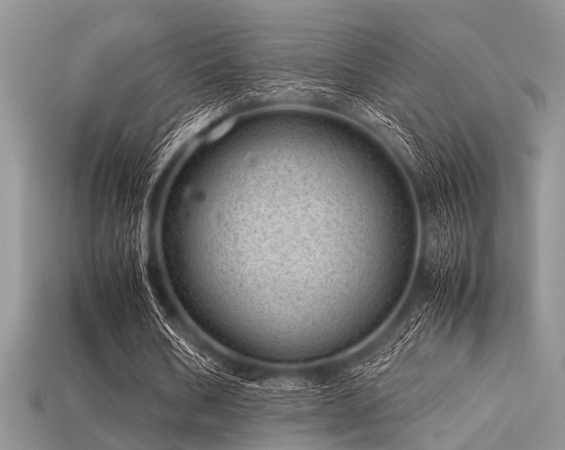 X0000113540578200909181159