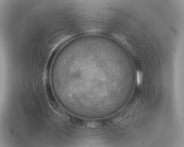 X0000113540579200909181159