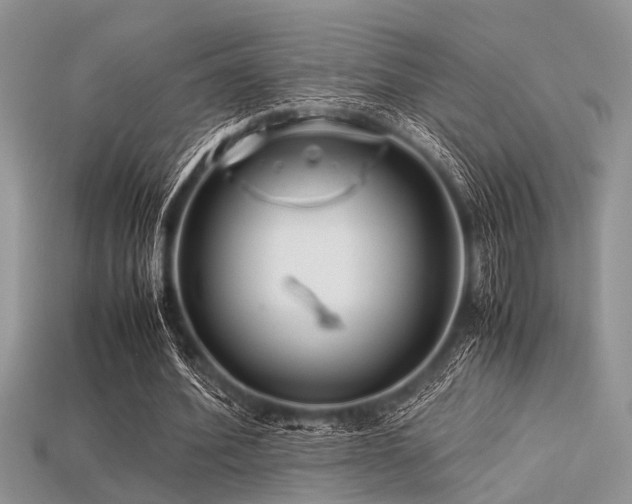 X0000113540580200909181159