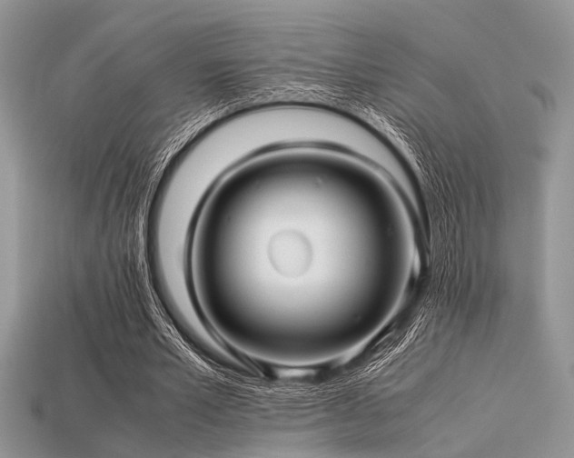 X0000113540581200909181159