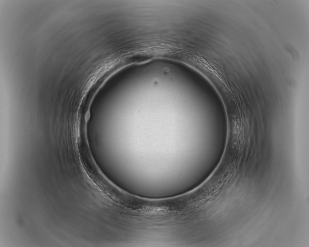 X0000113540582200909181159