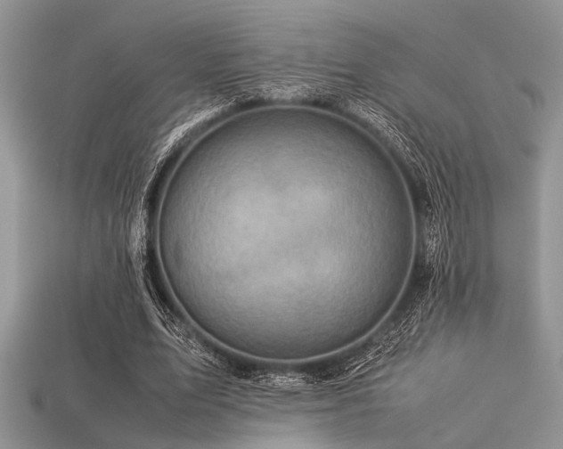 X0000113540583200909181159
