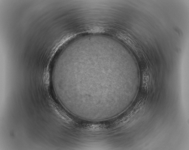 X0000113540584200909181159