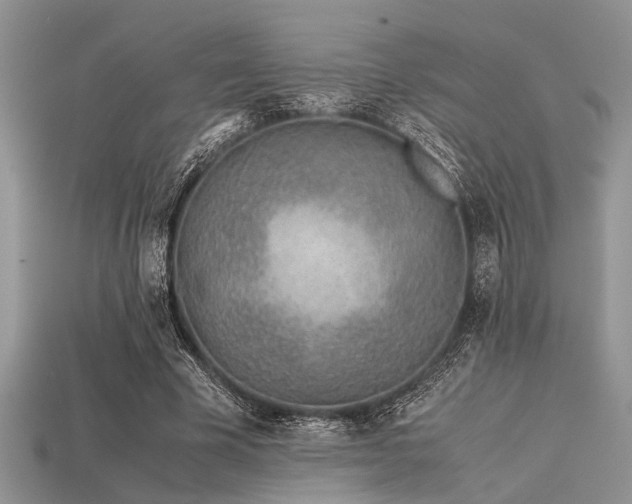X0000113540585200909181159