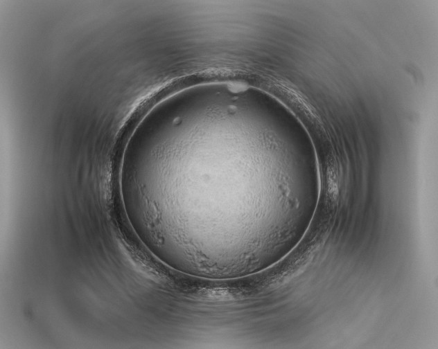 X0000113540588200909181159
