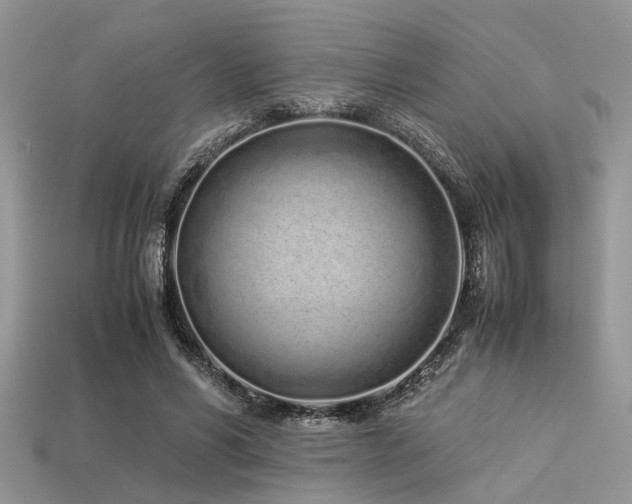 X0000113540590200909181159