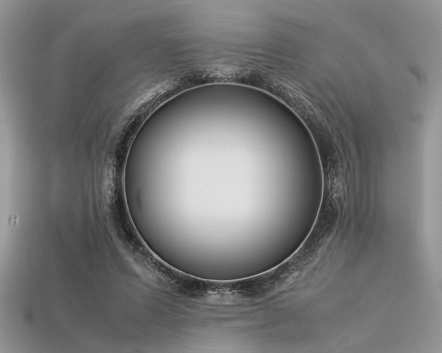 X0000113540591200909181159