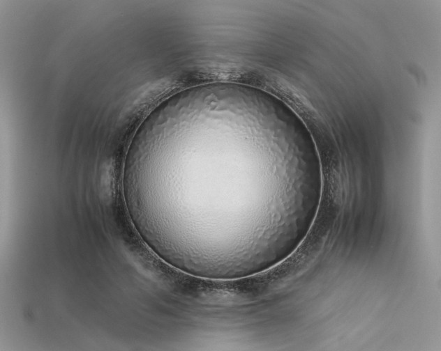 X0000113540594200909181159