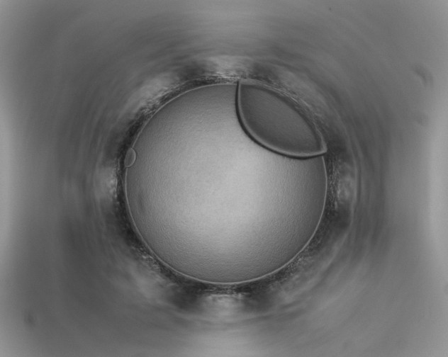 X0000113540595200909181159