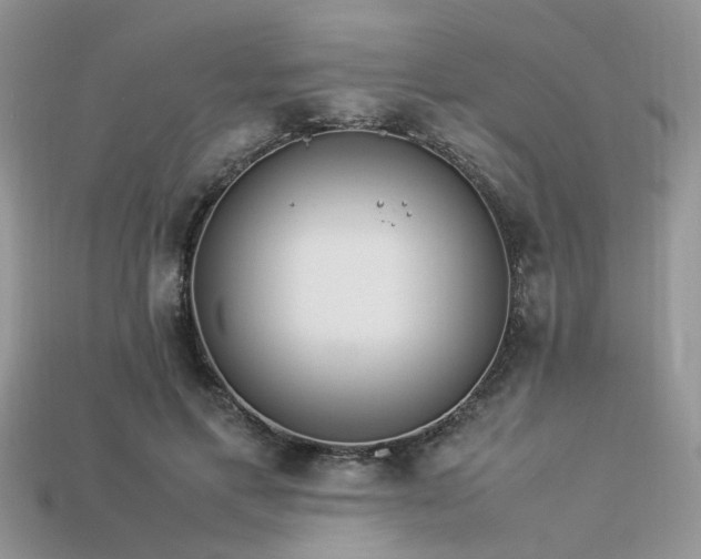 X0000113540597200909181159