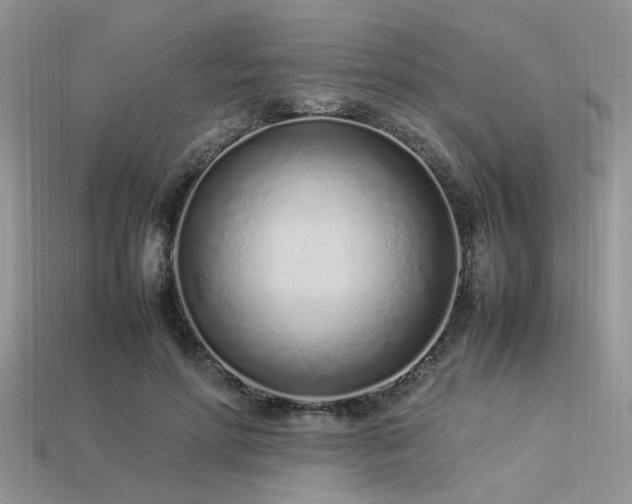 X0000113540598200909181159