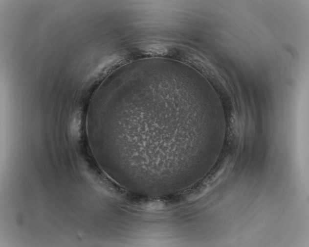 X0000113540600200909181159