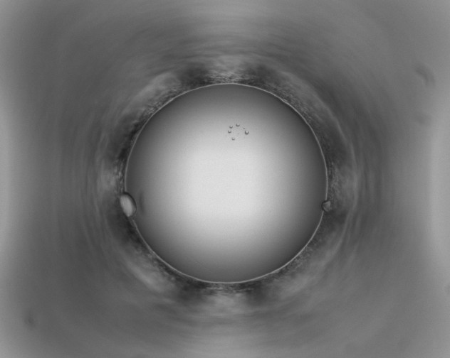 X0000113540601200909181159