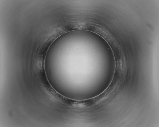 X0000113540602200909181159
