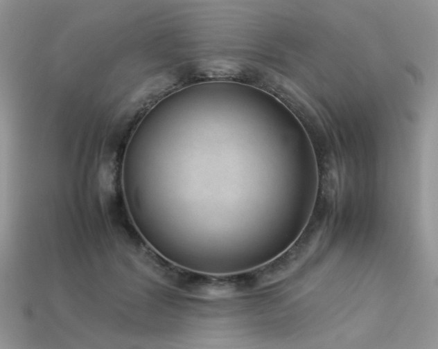 X0000113540604200909181159